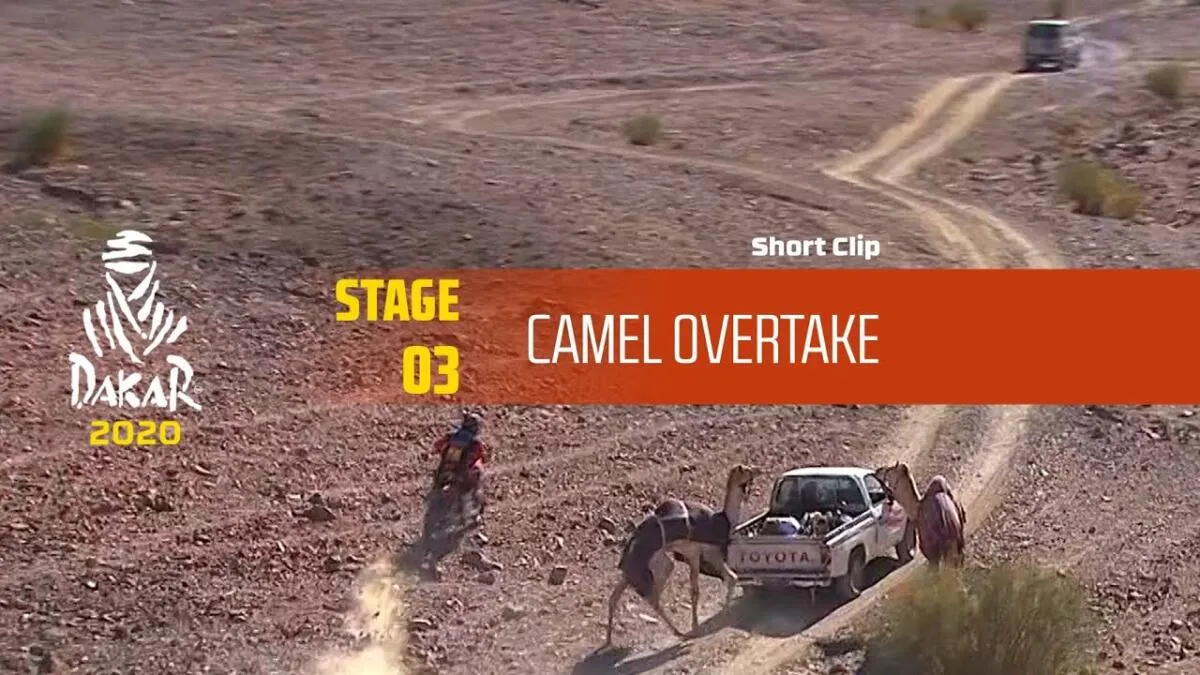 Ricky Brabec cède volontairement la tête du Dakar 2026 à l'étape 11 - Article RallyeRaid sur PitStopInsight