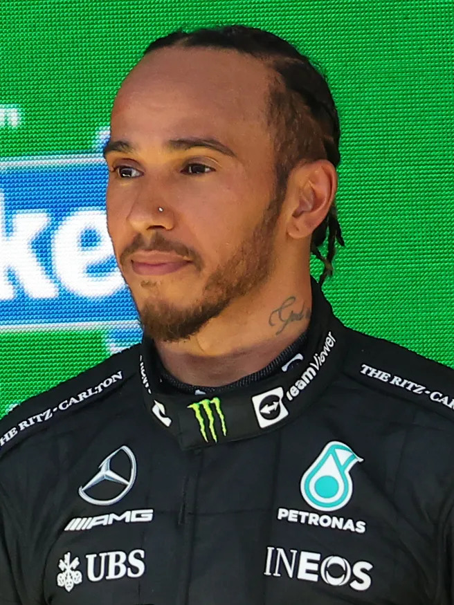 lewis-hamilton-un-crash-devastateur-avec-un-marmot-au-grand-prix-du-canada_0.jpg
