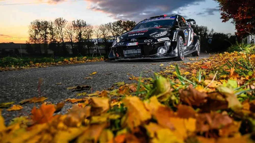 Sébastien Ogier sortie de route Rallye d'Europe centrale WRC crevaison - Article WRC sur PitStopInsight